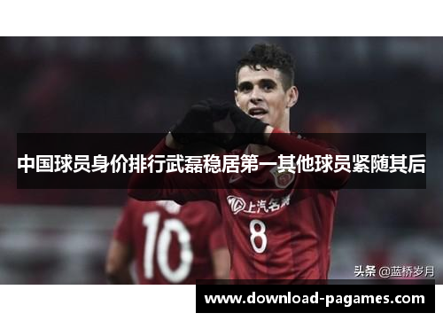 中国球员身价排行武磊稳居第一其他球员紧随其后 中国球员身价排行武磊稳居第一其他球员紧随其后